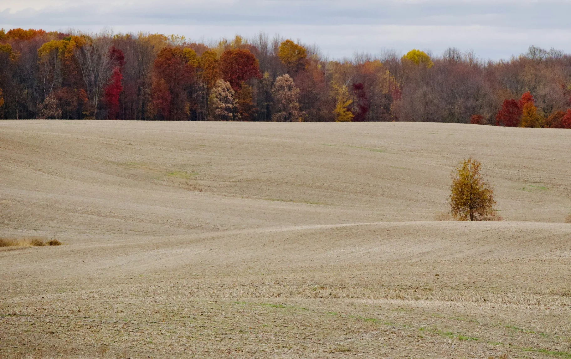 Vacant Land & Lots
