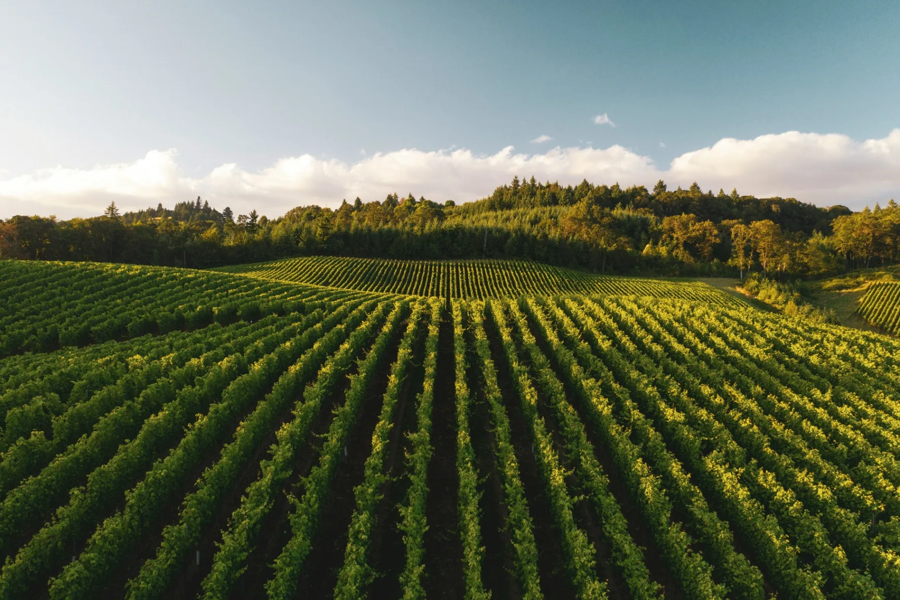 Agricultural & Farmland
